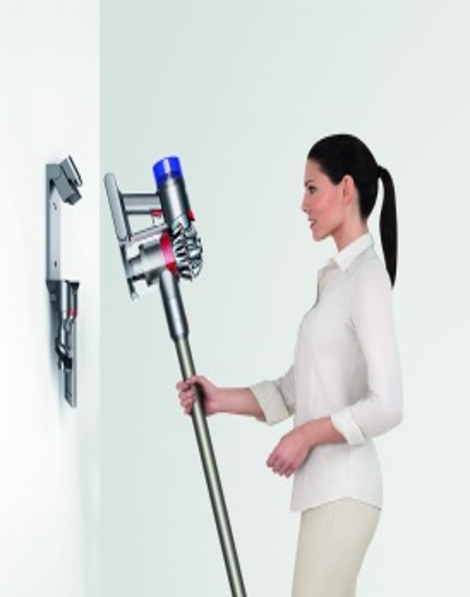 Aspirateur sans fil Dyson  V7 Animal