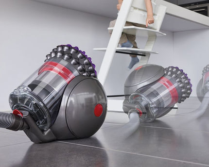 Aspirateur traineau Big Ball™ Dyson Parquet 2