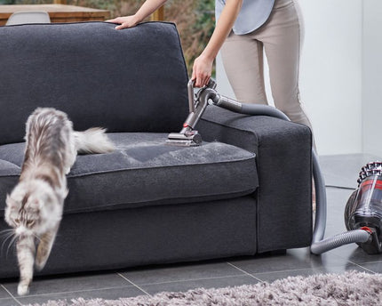 Aspirateur traineau Dyson Cinetic Big Ball™ Absolute 2