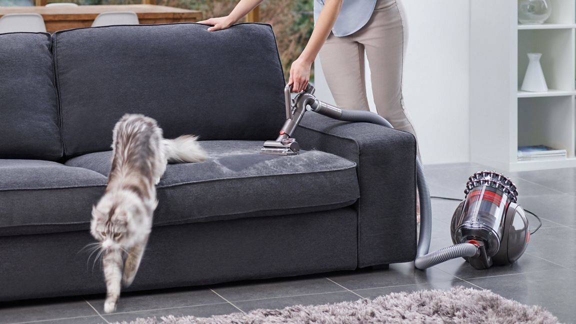Aspirateur traineau Dyson Cinetic Big Ball™ Absolute 2